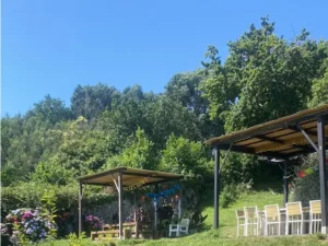 Zona de barbacoas de Castro Park