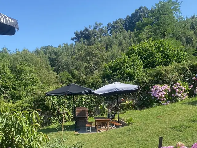 zona-barbacoas-castro-park2